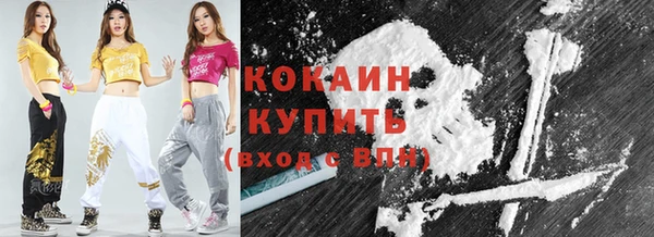 дживик Аркадак