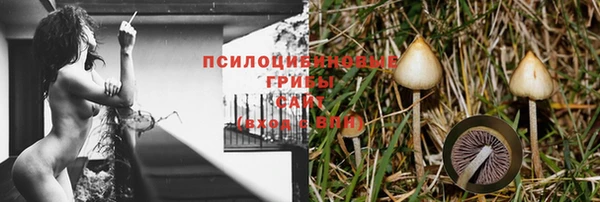 дживик Аркадак
