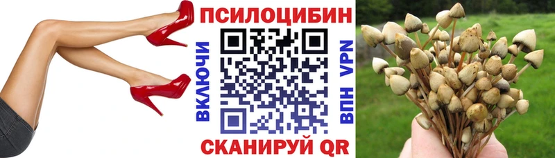 что такое   сайты даркнета какой сайт  блэк спрут рабочий сайт  Псилоцибиновые грибы Cubensis  Олёкминск 